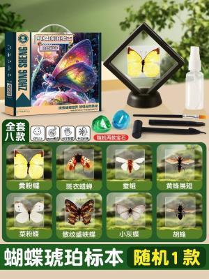 ZS-898蝴蝶琥珀考古，24盒/箱-全旗玩具批发